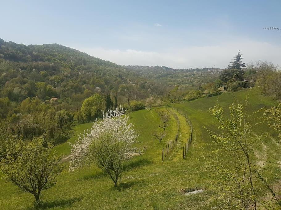 Casa Vacanza Mattirolo - Castagneto Po Exterior foto